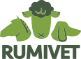 Rumivet